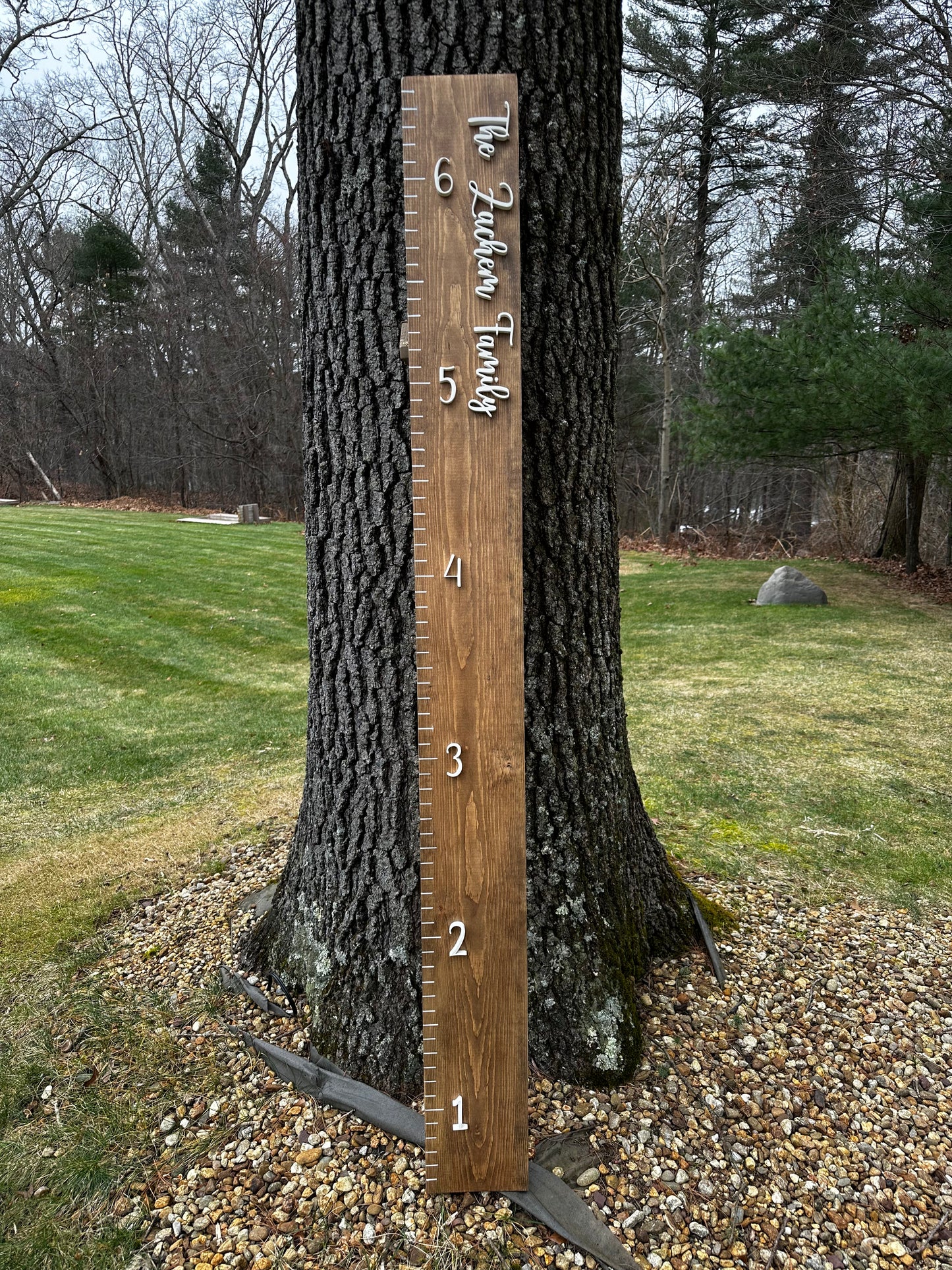 Family Name Growth Chart