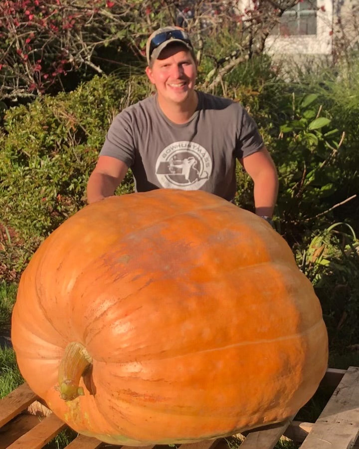 Giant Pumpkin Seeds